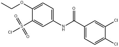 5-(3,4-DICHLORO-BENZOYLAMINO)-2-ETHOXY-BENZENESULFONYL CHLORIDE Structure