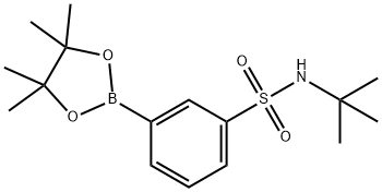 3-(tert-butylaMino)sulfonyl-phenylboronic acid pinacol ester Structure