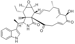 CHAETOGLOBOSINK Structure