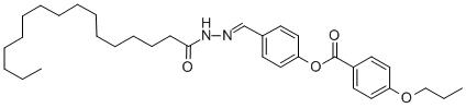 SALOR-INT L455598-1EA Structure