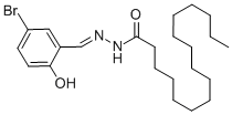 SALOR-INT L400831-1EA Structure