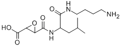 EP 459 Structure