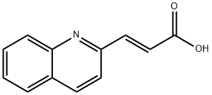 3-QUINOLIN-2-YL-ACRYLIC ACID Structure