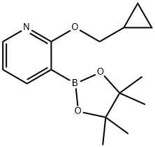 848243-26-5 2-CYCLOPROPYLMETHOXY-3-(4,4,5,5-TETRAMETHYL-[1,3,2]DIOXABOROLAN-2-YL)-PYRIDINE