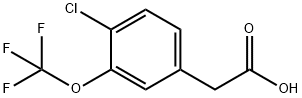 886501-02-6 4-CHLORO-3-(TRIFLUOROMETHOXY)PHENYLACETIC ACID