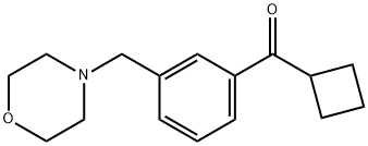 CYCLOBUTYL 3-(MORPHOLINOMETHYL)PHENYL KETONE Structure