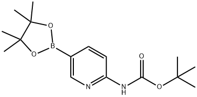 910462-31-6 2-(tert-butoxycarbonylamino)pyridine-5-boronic acid, pinacol ester