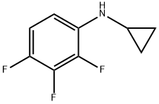 N-CYCLOPROPYL-2,3,4-TRIFLUOROANILINE Structure