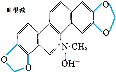 血根碱化学结构式