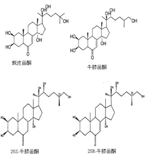 牛膝提取物中甾体类成分