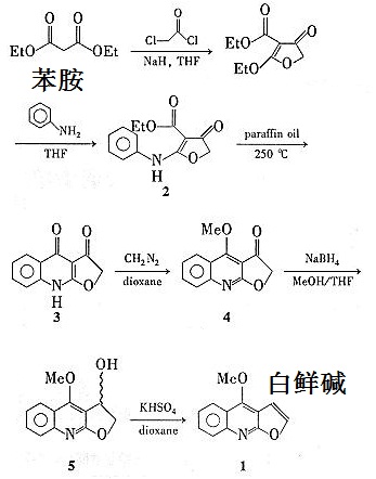 人工合成白鲜碱的反应路线图