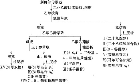 知母组分