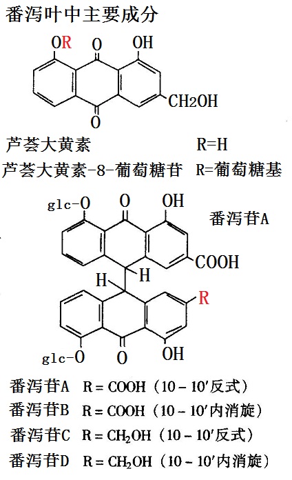 番泻叶中主要成分的化学结构式