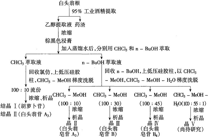 白头翁皂苷A提取分离工艺流程图