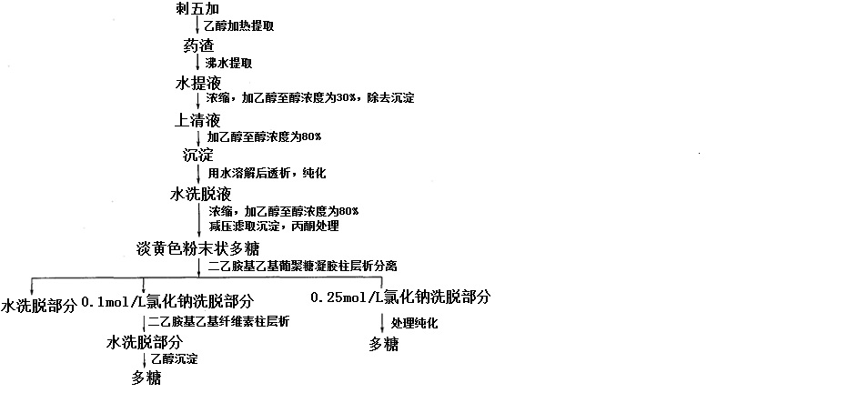 刺五加多糖提取工艺