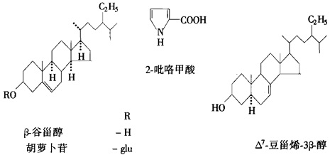 结构式