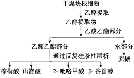 太子参中10种化合物的提取分离