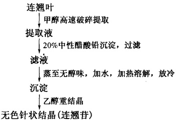 连翘苷提取分离