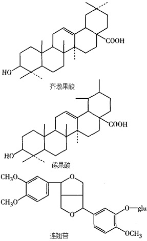 结构式