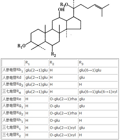 结构式