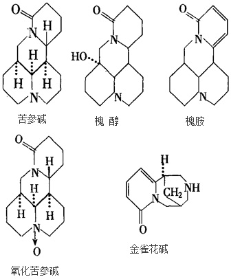 结构式