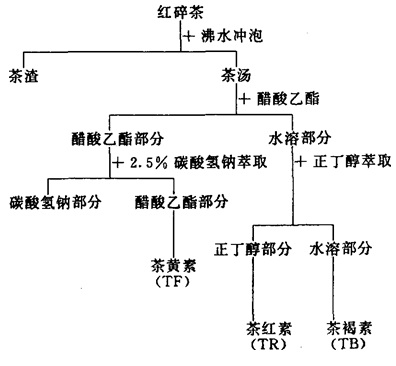 红碎茶的分离程序