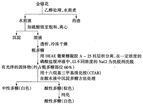 多糖提取分离