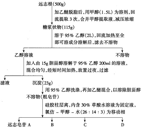 远志皂苷A、B、C、D的提取分离