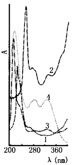 紫苏叶的紫外光谱图