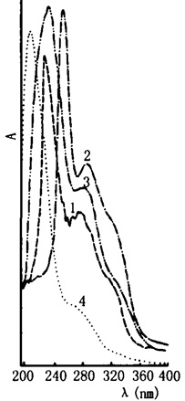 板蓝根的紫外光谱图