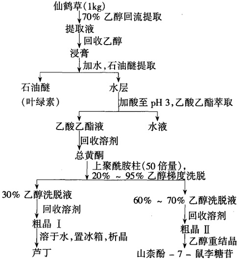 芦丁、山柰酚-7-鼠李糖苷提取分离