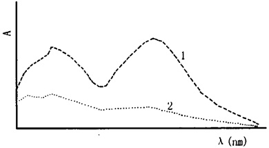 桂枝及其混伪品的紫外光谱图