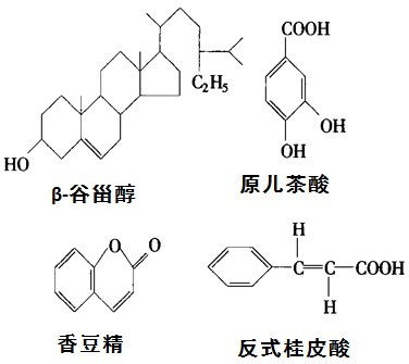 结构式