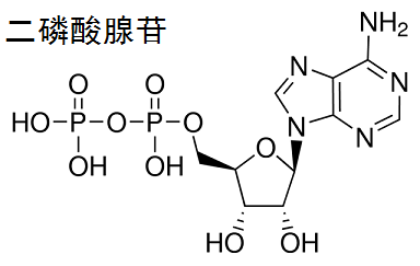 二磷酸腺苷 结构式