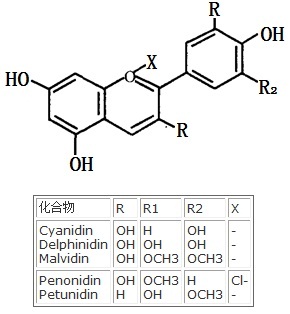 花色素类的化学结构式