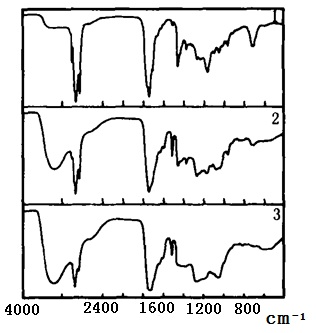 川芎的红外光谱图