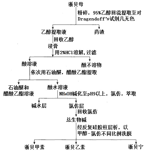 浙贝鳞茎中浙贝甲素、浙贝乙素的提取分离