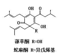 结构式