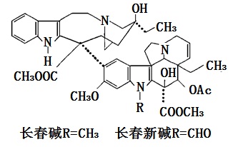 结构式