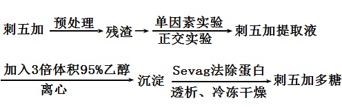 刺五加多糖提取工艺