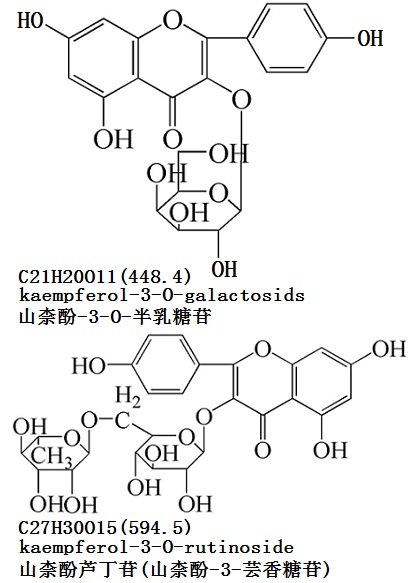 结构式