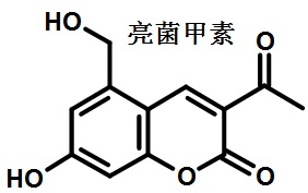 亮菌甲素的结构式