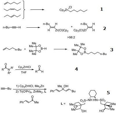 Reactions of 37342-97-5_1