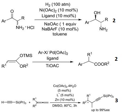 addition of silylacetylenes to 1,1-disubstitued allenes