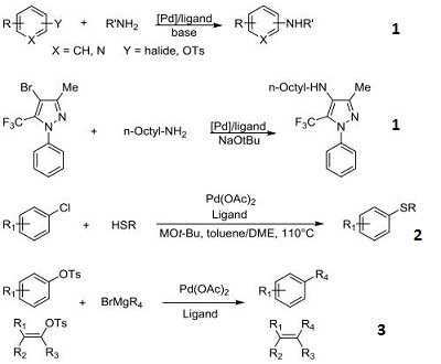 Reactions of 158923-11-6_1