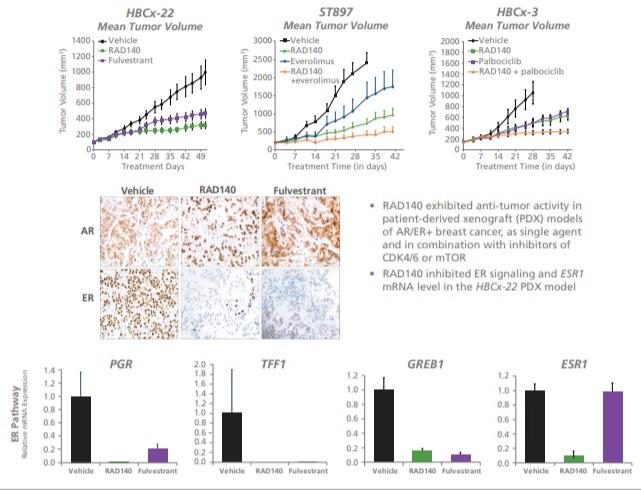 RAD140 anti-tumor activity