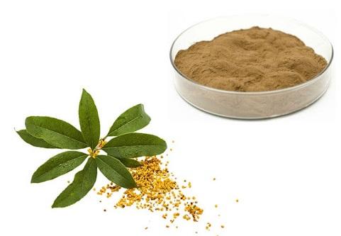 Osmanthus powder.jpg