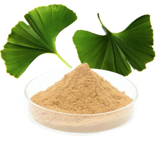 GINKGO BILOBA LEAF POWDER.jpg