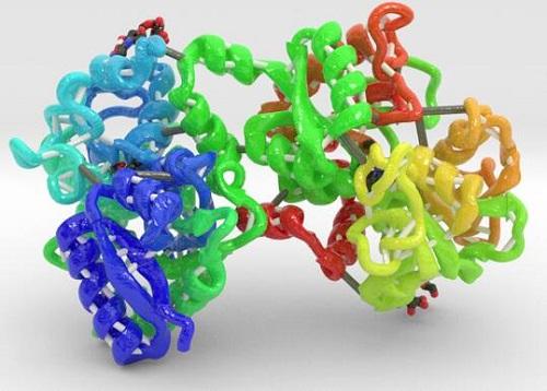 146897-68-9 Human lactoferrinProduction