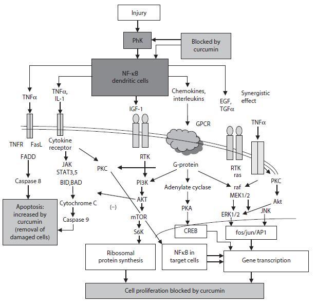 FIGURE 3.3.jpg